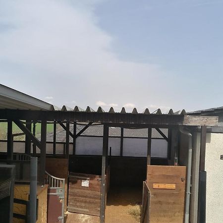 Schoenes Appartement " Die Ponybude" Auf Unserem Reiterhof Birkenbeul エクステリア 写真