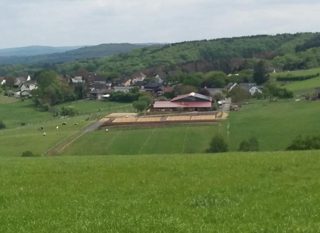Schoenes Appartement " Die Ponybude" Auf Unserem Reiterhof Birkenbeul エクステリア 写真
