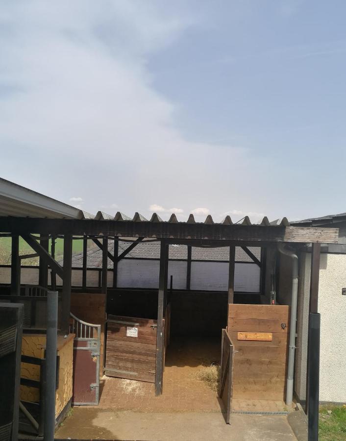 Schoenes Appartement " Die Ponybude" Auf Unserem Reiterhof Birkenbeul エクステリア 写真